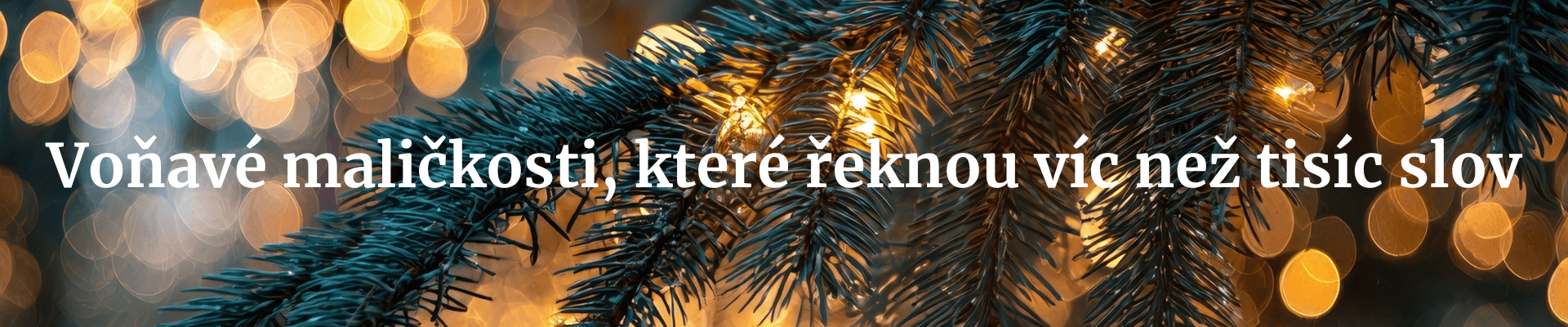 Vánoce-25-Oddělovač-5